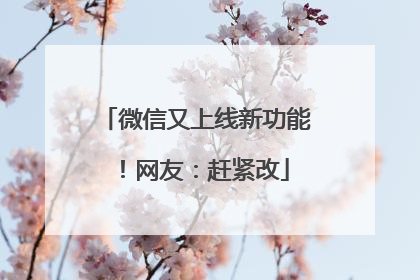微信又上线新功能！网友：赶紧改