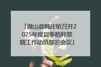 微山县韩庄镇召开2025年度夏季秸秆禁烧工作动员部署会议