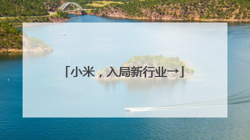小米，入局新行业→