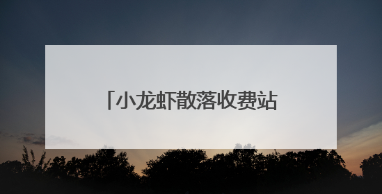小龙虾散落收费站 工作人员上演暖心“抢虾大战”