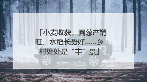 小麦收获、圆葱产销旺、水稻长势好……乡村处处是“丰”景