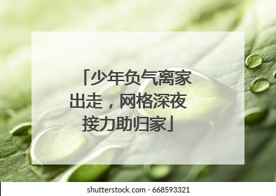 少年负气离家出走，网格深夜接力助归家