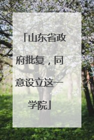 山东省政府批复，同意设立这一学院