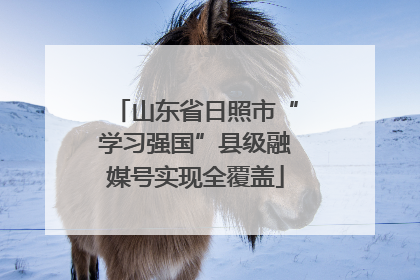 山东省日照市“学习强国”县级融媒号实现全覆盖