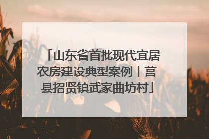 山东省首批现代宜居农房建设典型案例丨莒县招贤镇武家曲坊村