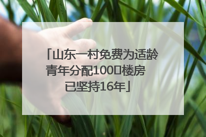 山东一村免费为适龄青年分配100㎡楼房 已坚持16年