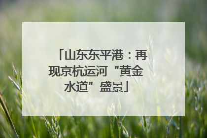 山东东平港：再现京杭运河“黄金水道”盛景