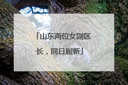 山东两位女副区长，同日履新