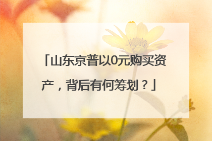山东京普以0元购买资产，背后有何筹划？