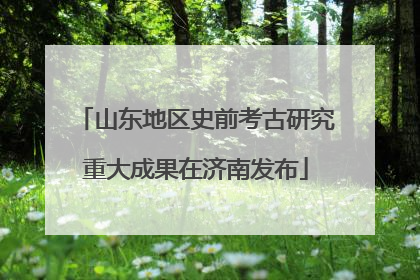 山东地区史前考古研究重大成果在济南发布