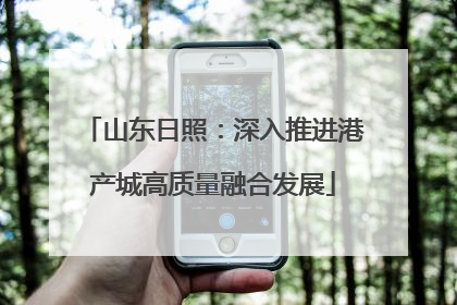 山东日照：深入推进港产城高质量融合发展
