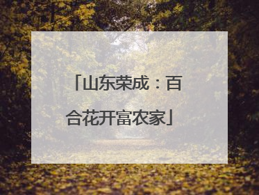 山东荣成：百合花开富农家