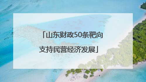 山东财政50条靶向支持民营经济发展