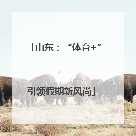 山东：“体育+”引领假期新风尚