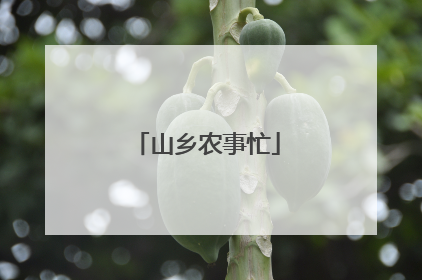 山乡农事忙