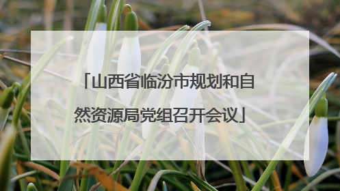 山西省临汾市规划和自然资源局党组召开会议