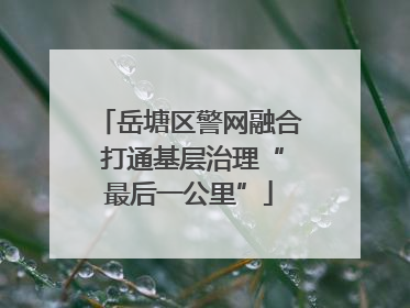 岳塘区警网融合 打通基层治理“最后一公里”