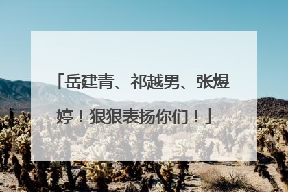 岳建青、祁越男、张煜婷！狠狠表扬你们！
