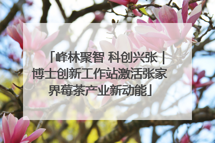 峰林聚智 科创兴张｜博士创新工作站激活张家界莓茶产业新动能