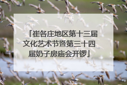 崔各庄地区第十三届文化艺术节暨第三十四届奶子房庙会开锣