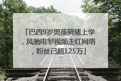 巴西9岁男孩骑猪上学，风驰电掣视频走红网络，粉丝已超125万