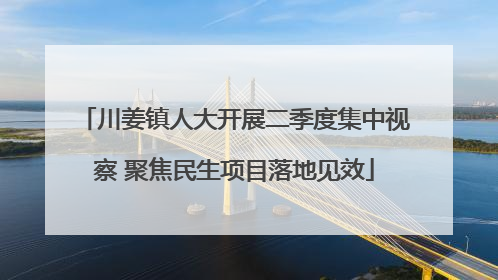 川姜镇人大开展二季度集中视察 聚焦民生项目落地见效