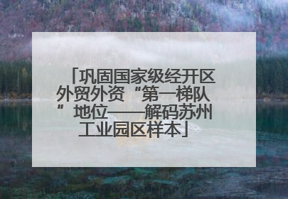 巩固国家级经开区外贸外资“第一梯队”地位——解码苏州工业园区样本