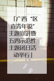 广西“区直青年说”主题宣讲暨五四示范性主题团日活动举行