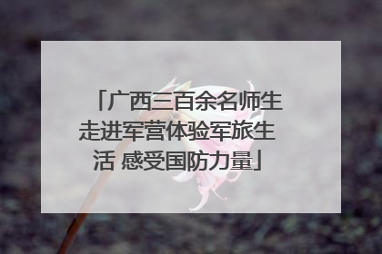 广西三百余名师生走进军营体验军旅生活 感受国防力量