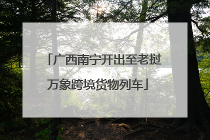 广西南宁开出至老挝万象跨境货物列车