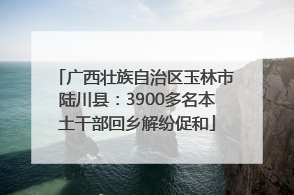 广西壮族自治区玉林市陆川县：3900多名本土干部回乡解纷促和