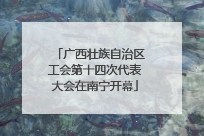 广西壮族自治区工会第十四次代表大会在南宁开幕