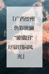 广西贺州：色彩斑斓“玻璃田”尽显田园风光