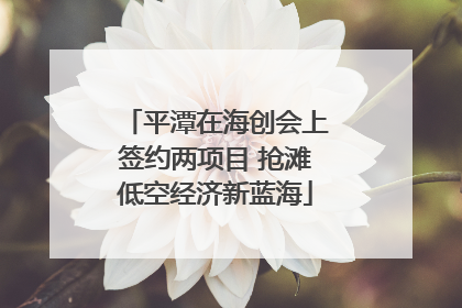 平潭在海创会上签约两项目 抢滩低空经济新蓝海
