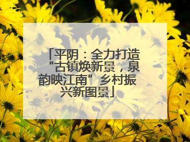 平阴：全力打造“古镇焕新景，泉韵映江南”乡村振兴新图景