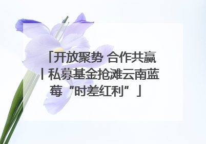 开放聚势 合作共赢丨私募基金抢滩云南蓝莓“时差红利”