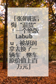 张朝阳后悔“退货”！一个绝版Labubu，被胡润拿去换了一辆车，整车原价值上百万元