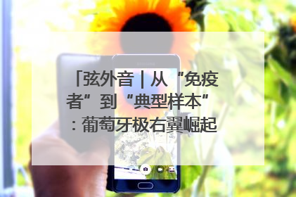 弦外音｜从“免疫者”到“典型样本”：葡萄牙极右翼崛起背后的欧洲困局