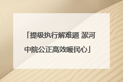 提级执行解难题 漯河中院公正高效暖民心
