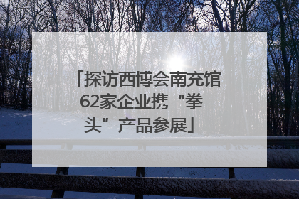 探访西博会南充馆 62家企业携“拳头”产品参展