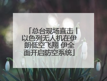 总台现场直击丨以色列无人机在伊朗低空飞翔 伊全面开启防空系统