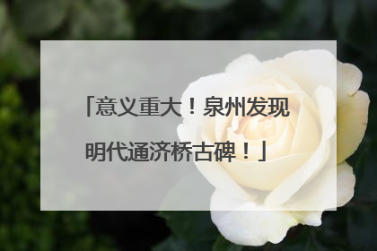 意义重大！泉州发现明代通济桥古碑！