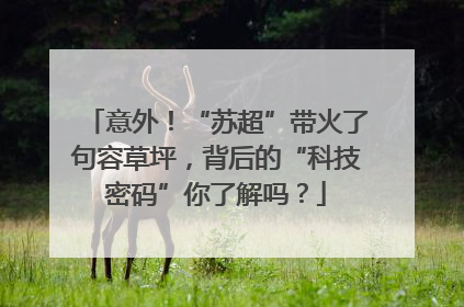 意外！“苏超”带火了句容草坪，背后的“科技密码”你了解吗？