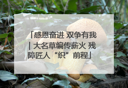 感恩奋进 双争有我｜大名草编传薪火 残障匠人“织”前程