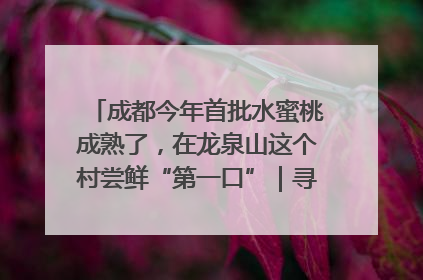 成都今年首批水蜜桃成熟了，在龙泉山这个村尝鲜“第一口”｜寻找和美乡村推荐官