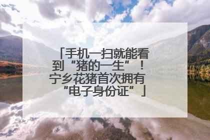 手机一扫就能看到“猪的一生”！宁乡花猪首次拥有“电子身份证”