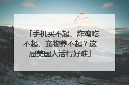 手机买不起、炸鸡吃不起、宠物养不起？这届美国人活得好难