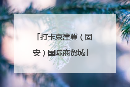 打卡京津冀（固安）国际商贸城