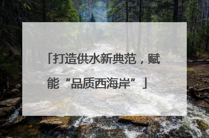 打造供水新典范，赋能“品质西海岸”