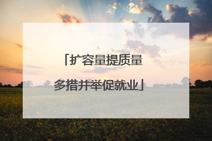 扩容量提质量 多措并举促就业